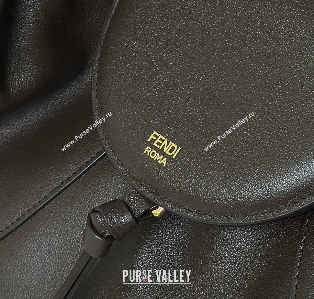 Fendi Spy Large Bag in Leather 80888L Dark Brown 2025 (CL-250930016)