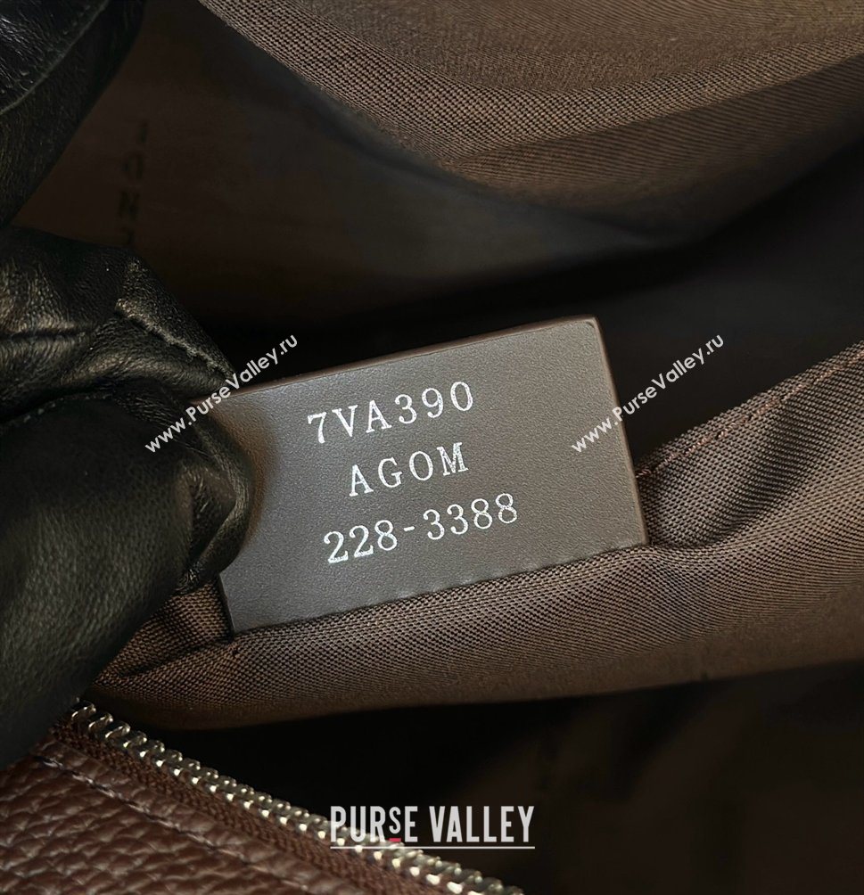 Fendi Lui Large Bag in Grained Leather Dark Brown 2026 66811L (CL-260123078)