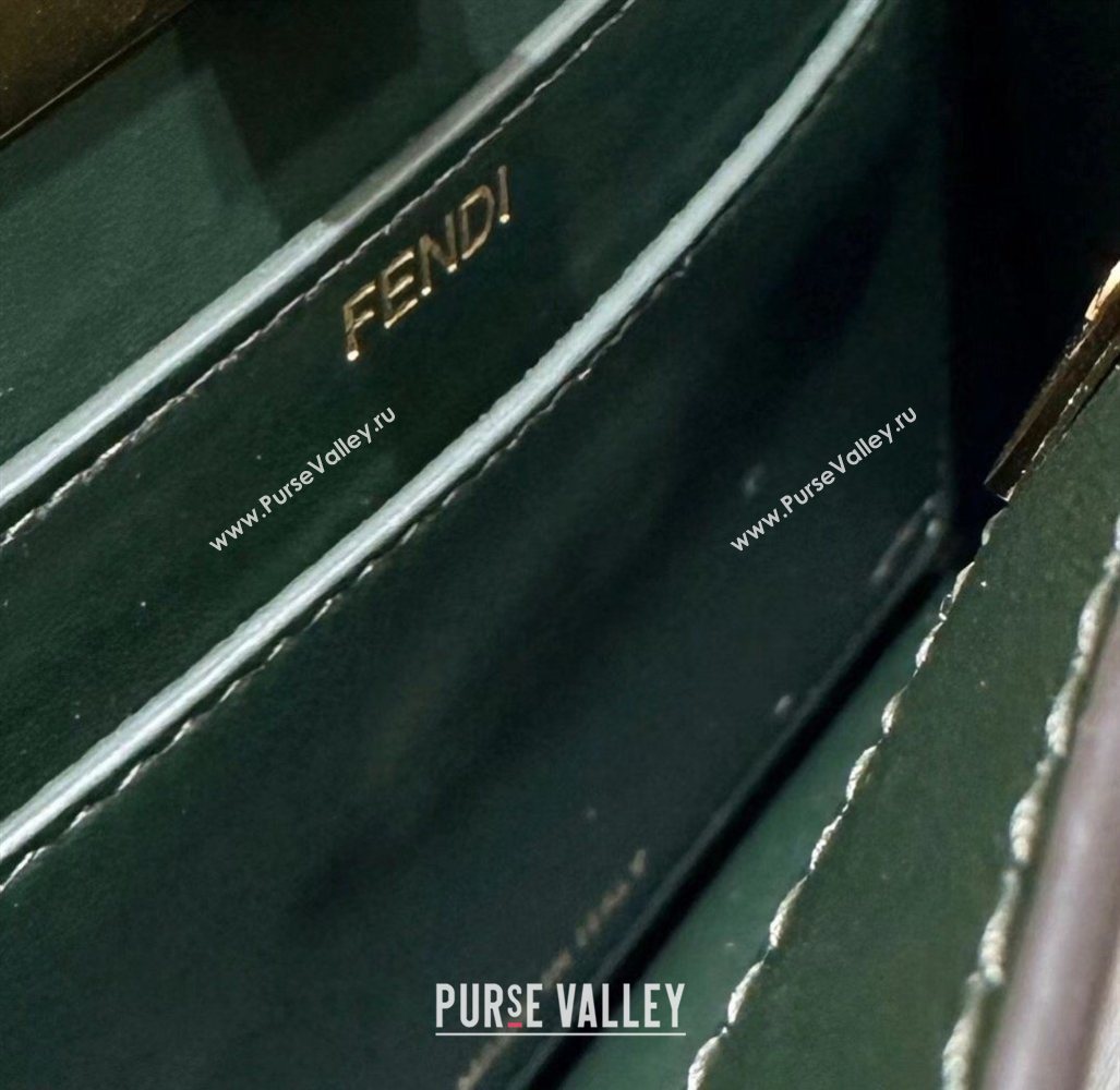 Fendi Peekaboo ISeeU Petite Bag in Shiny Chevron Eel Embossed Leather Green 2026 8701 (CL-260409105)