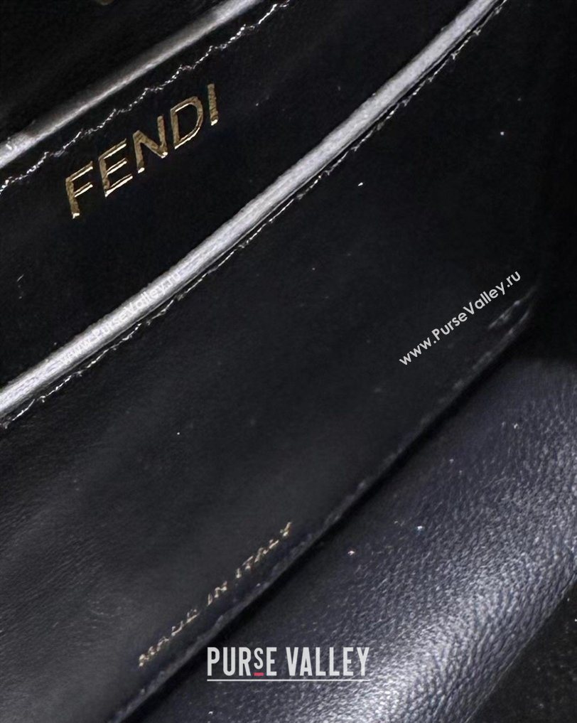 Fendi Peekaboo ISeeU Petite Bag in Shiny Chevron Eel Embossed Leather Black 2026 8701 (CL-260409107)