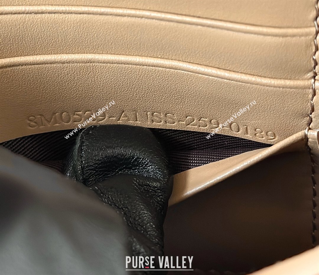 Fendi Fendigraphy Wallet on Chain Mini bag in Leather Apricot 2025 8687 (CL-250930017)