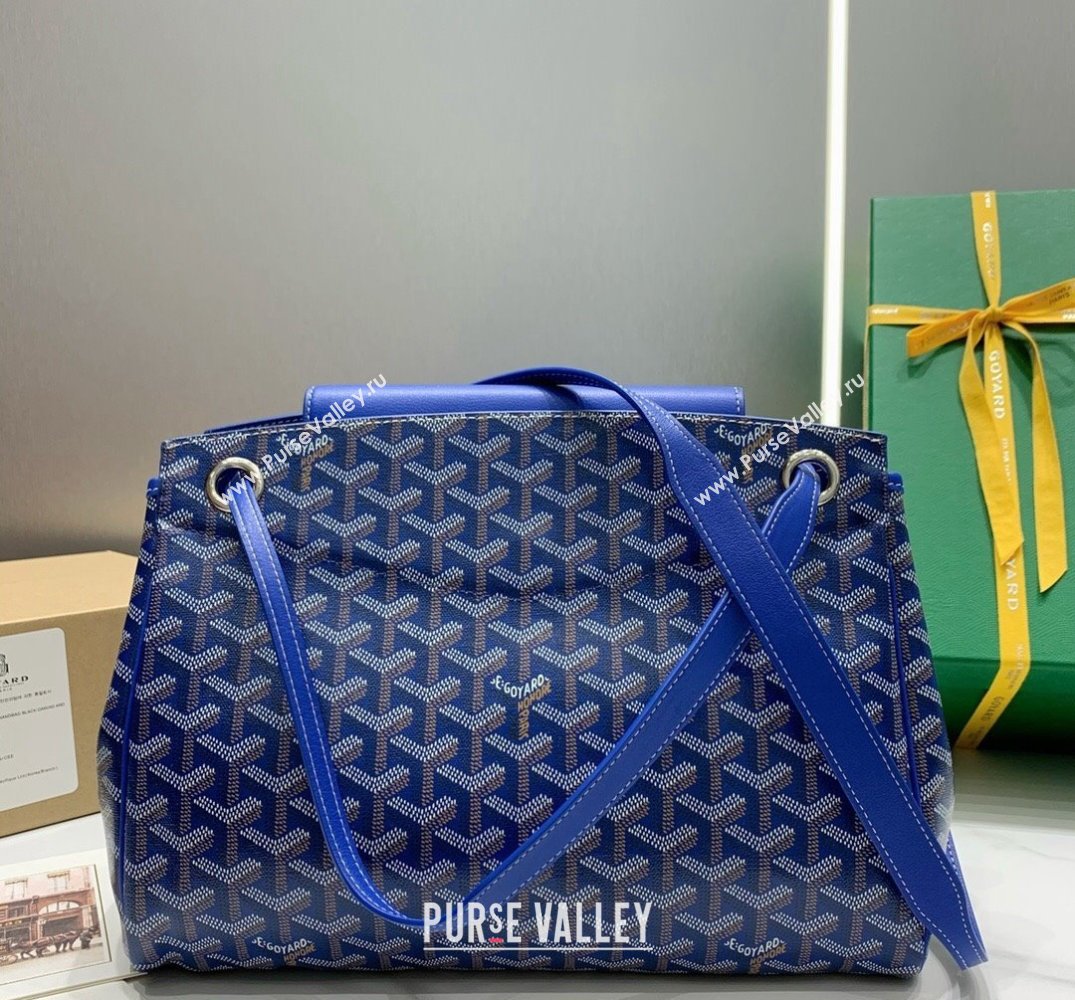 Goyard Rouette PM Shoulder Bag Sky Blue 2024 GY6685 (ZHANG-241216059)