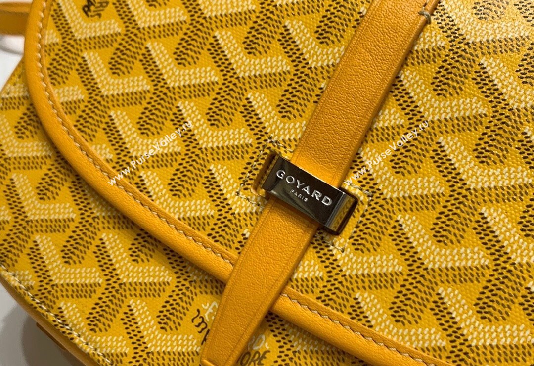 Goyard Belvedere PM Crossbody Bag Yellow 2024 8016 (ZHANG-240418012)