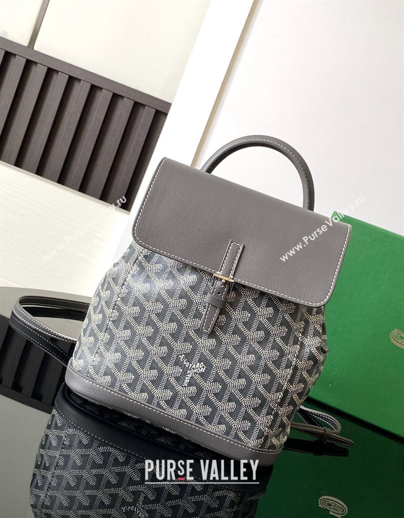 Goyard Alpin Mini Backpack Bag Grey 2024 020195 (ZHANG-241216101)