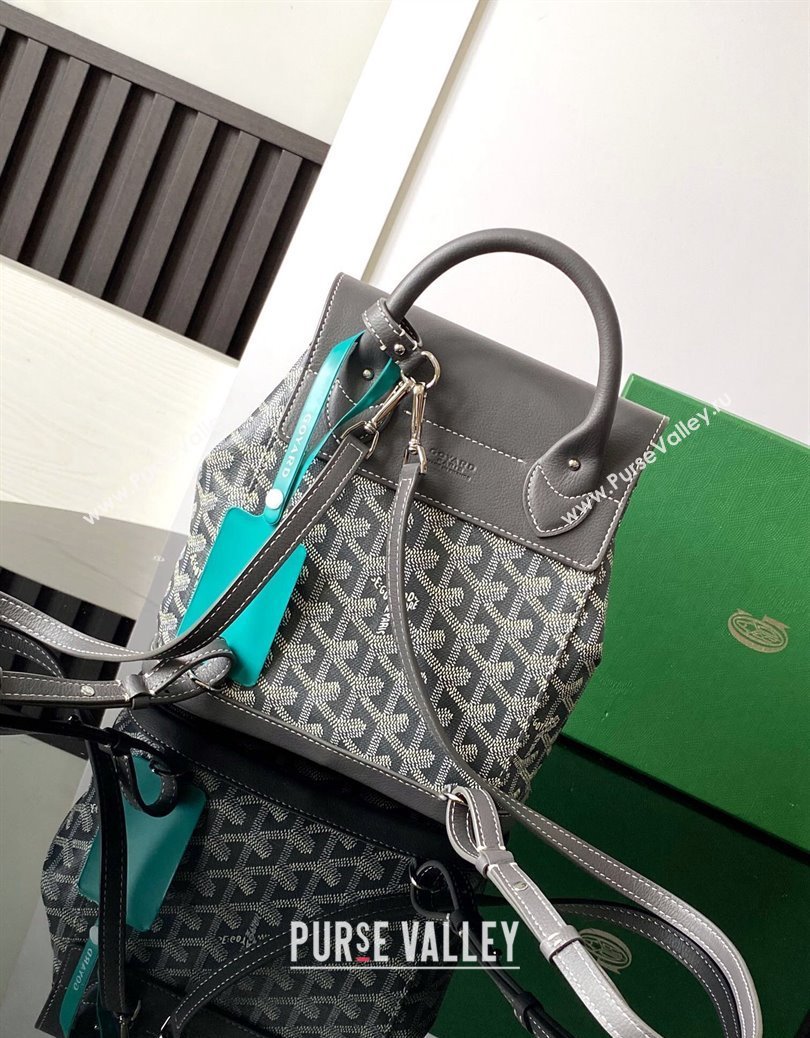 Goyard Alpin Mini Backpack Bag Grey 2024 020195 (ZHANG-241216101)