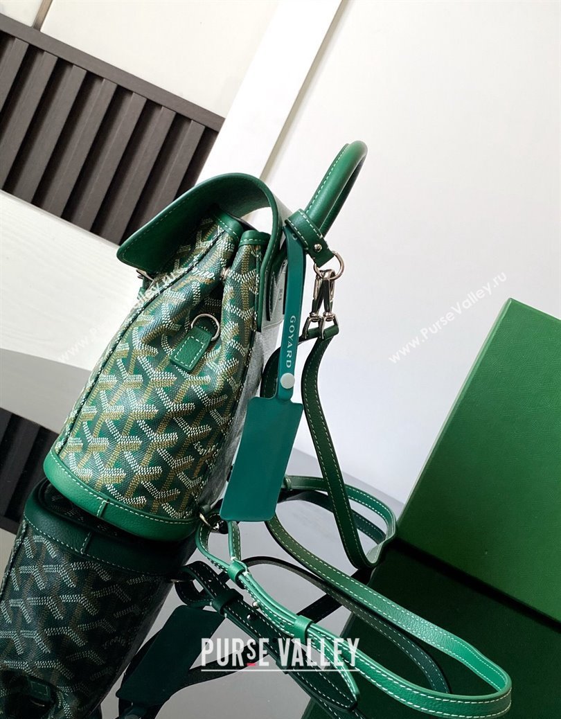 Goyard Alpin Mini Backpack Bag Green 2024 020195 (ZHANG-241216103)