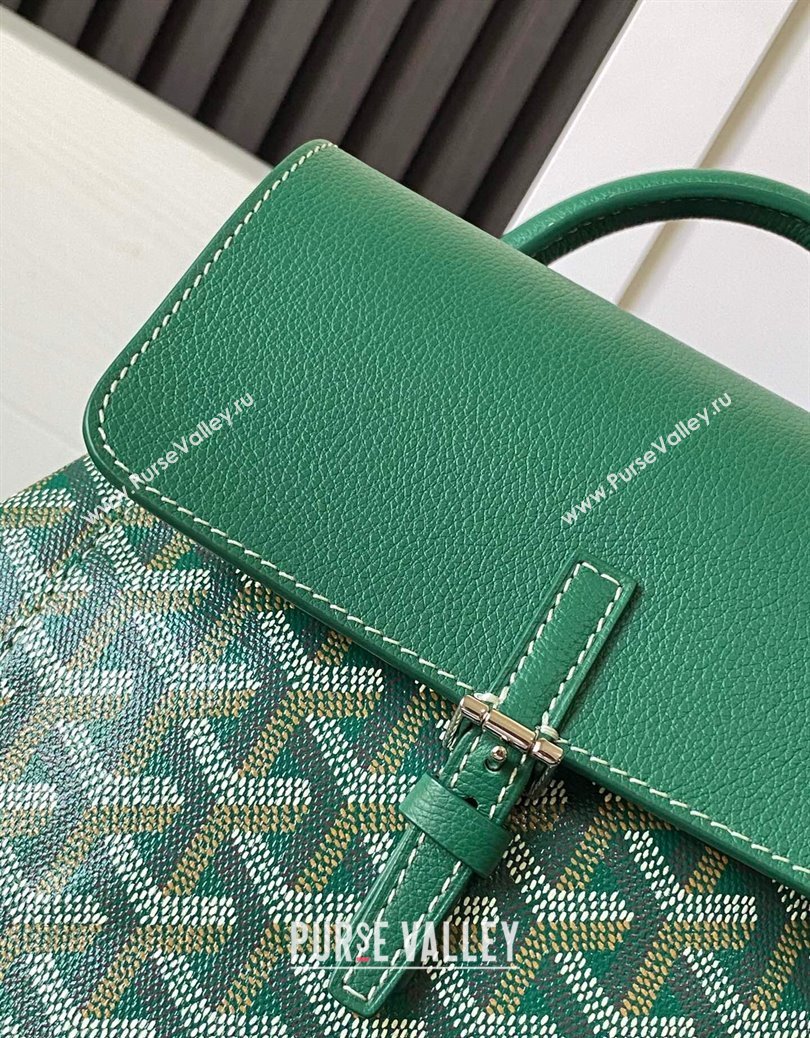 Goyard Alpin Mini Backpack Bag Green 2024 020195 (ZHANG-241216103)