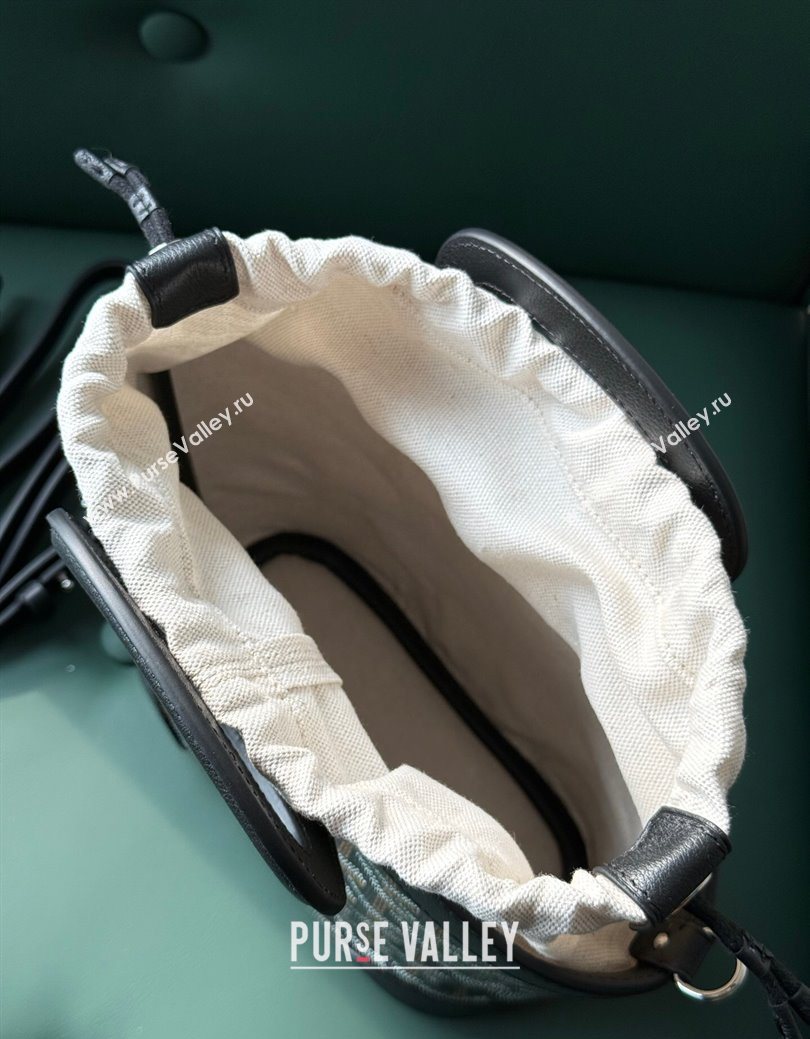 Goyard Beluga Mini bag Black 2025 020189 (ZHANG-250626088)