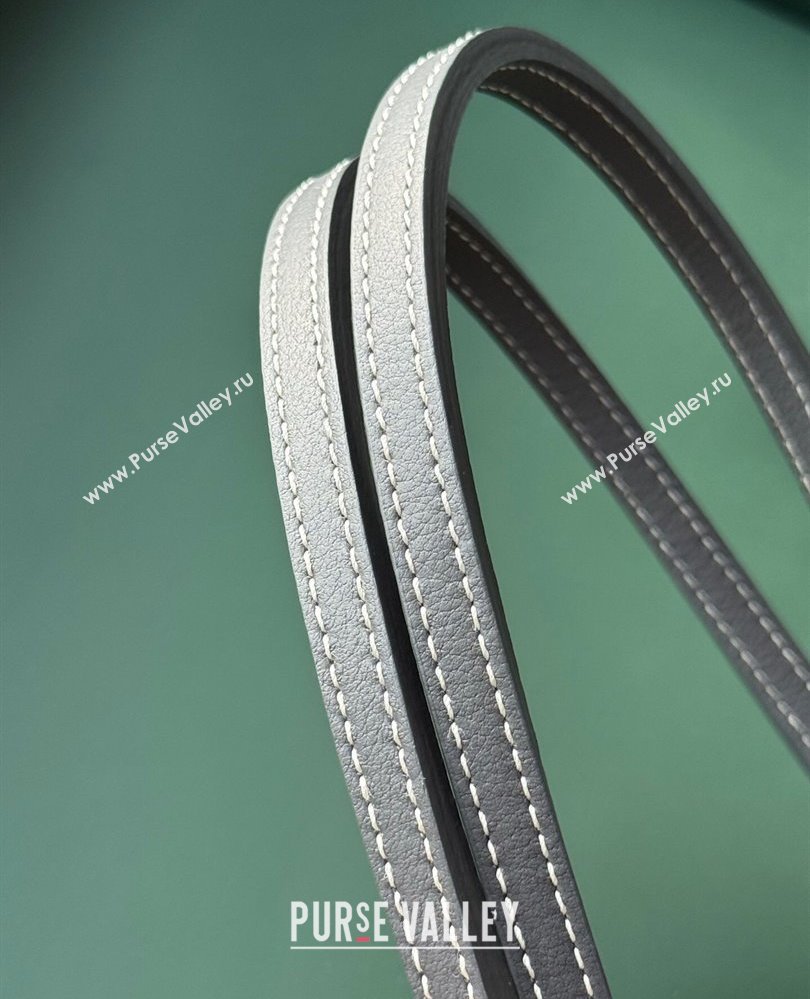 Goyard Artois PM Tote bag with Zipper Grey 2025 00320 (ZHANG-250805037)