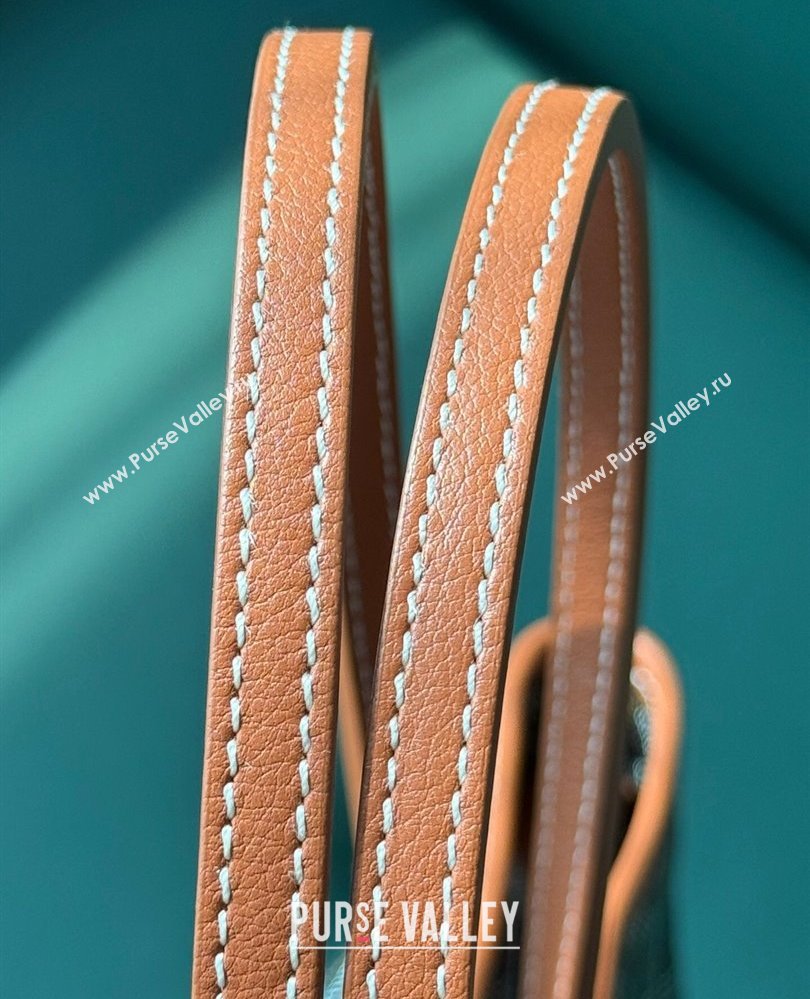 Goyard Artois PM Tote bag with Zipper Brown 2025 00320 (ZHANG-250805038)