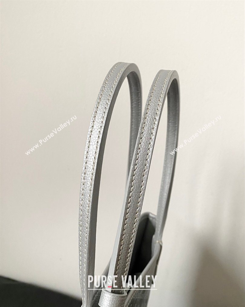 Goyard Anjou Mini Tote Bag Silver 2026 2003 (BI-260122034)