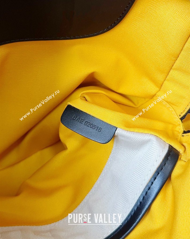 Goyard Ambassade MM Document Case Briefcase Black 2026 GY6027 (BI-260331114)