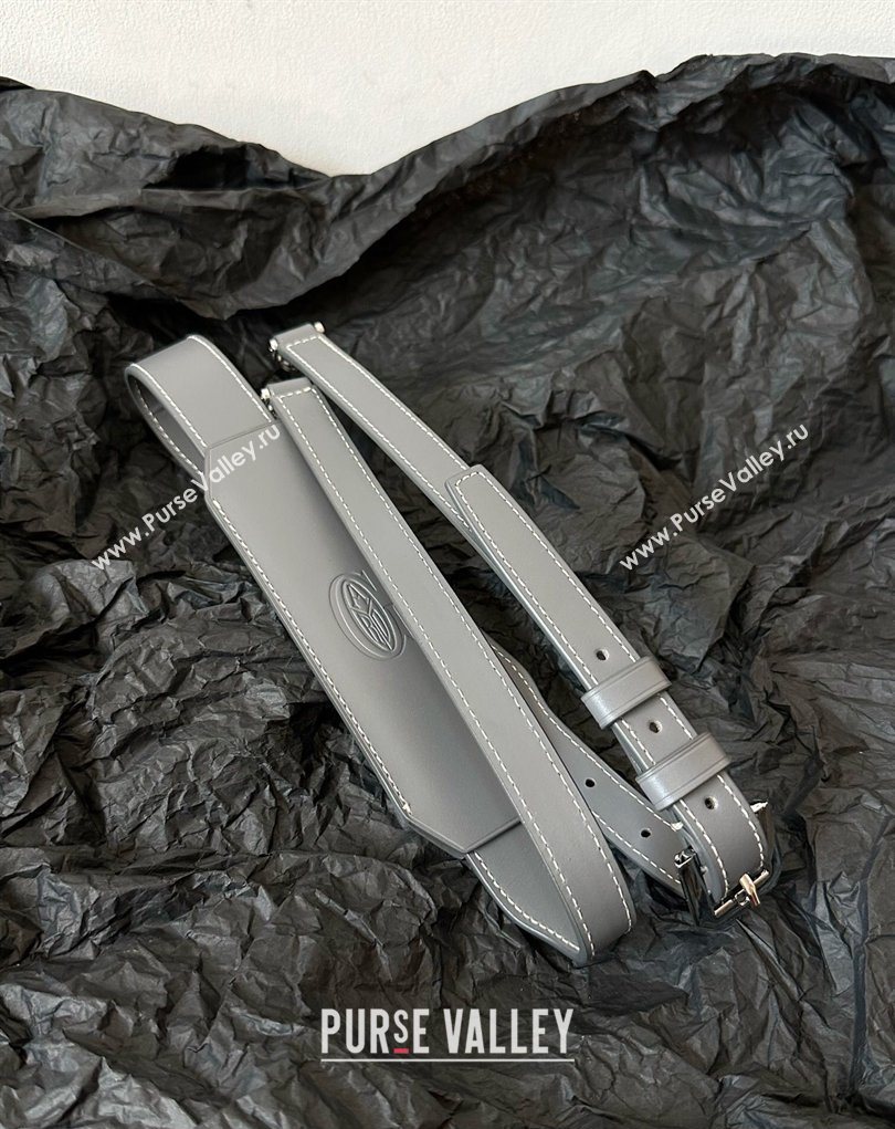 Goyard Ambassade MM Document Case Briefcase Grey 2026 GY6027 (BI-260331115)