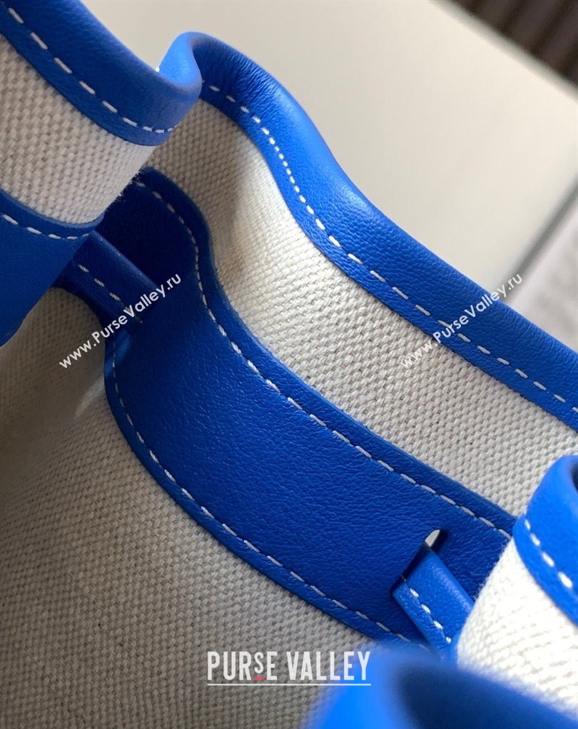 Goyard Petit Flot Bucket Bag PM Sky Blue 2026 020196 (SCAI-260331083)