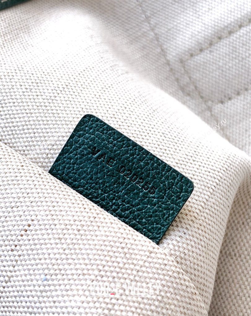 Goyard Villette Tote Bag PM Dark Green 2026 GY8062 (SCAI-260331084)