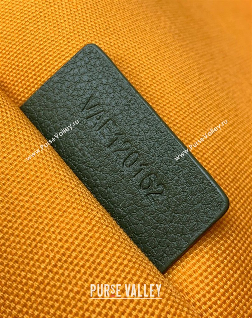 Goyard Villette Tote Bag PM Light Green 2026 GY8062 (SCAI-260331085)