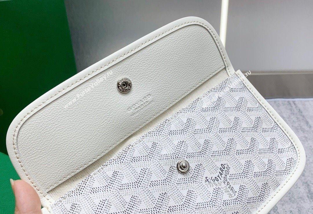 Goyard Saint Louis PM Tote Bag White 2023 020146M (ZHANG-231130018)