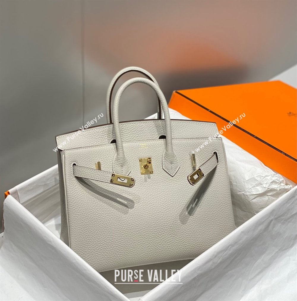 Hermes Birkin 25cm Bag in Togo Calfskin Pearl Grey 2023 1227 (FL-231227111)