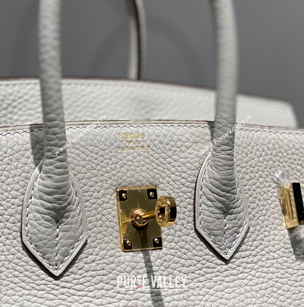 Hermes Birkin 25cm Bag in Togo Calfskin Pearl Grey 2023 1227 (FL-231227111)