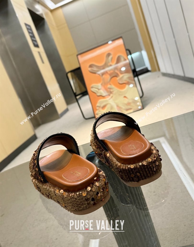 Gucci Platform Slide Sandals 5.5cm with Sequins Brown 2024 0429 (MD-240429005)