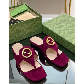 Gucci Blondie Flat Slide Thong Sandals in Suede with Interlocking G Purple 2024 (MD-240427040)