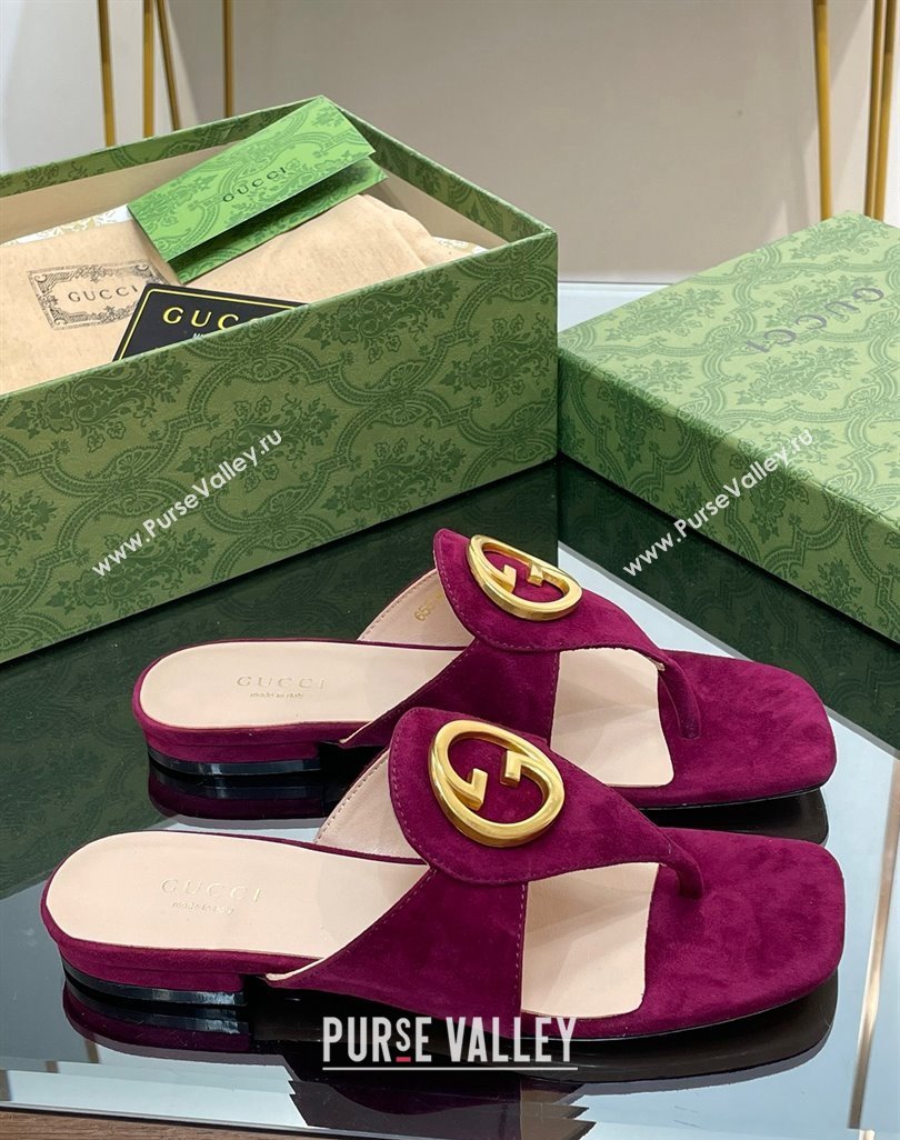 Gucci Blondie Flat Slide Thong Sandals in Suede with Interlocking G Purple 2024 (MD-240427040)