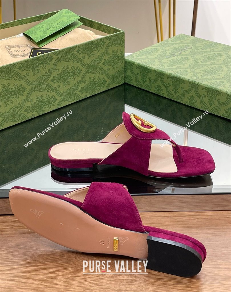 Gucci Blondie Flat Slide Thong Sandals in Suede with Interlocking G Purple 2024 (MD-240427040)