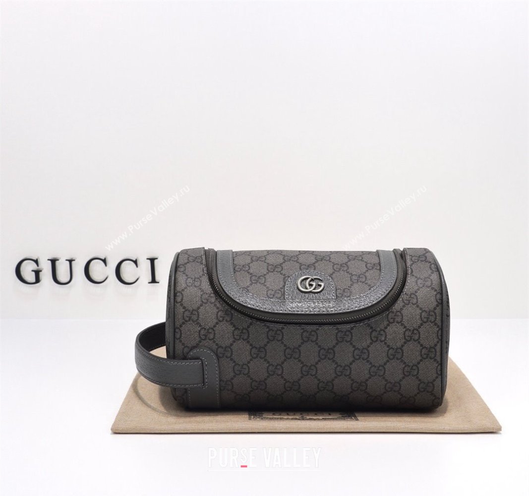 Gucci Ophidia GG canvas Toiletry Case 739670 Grey 2024 (DLH-240522023)