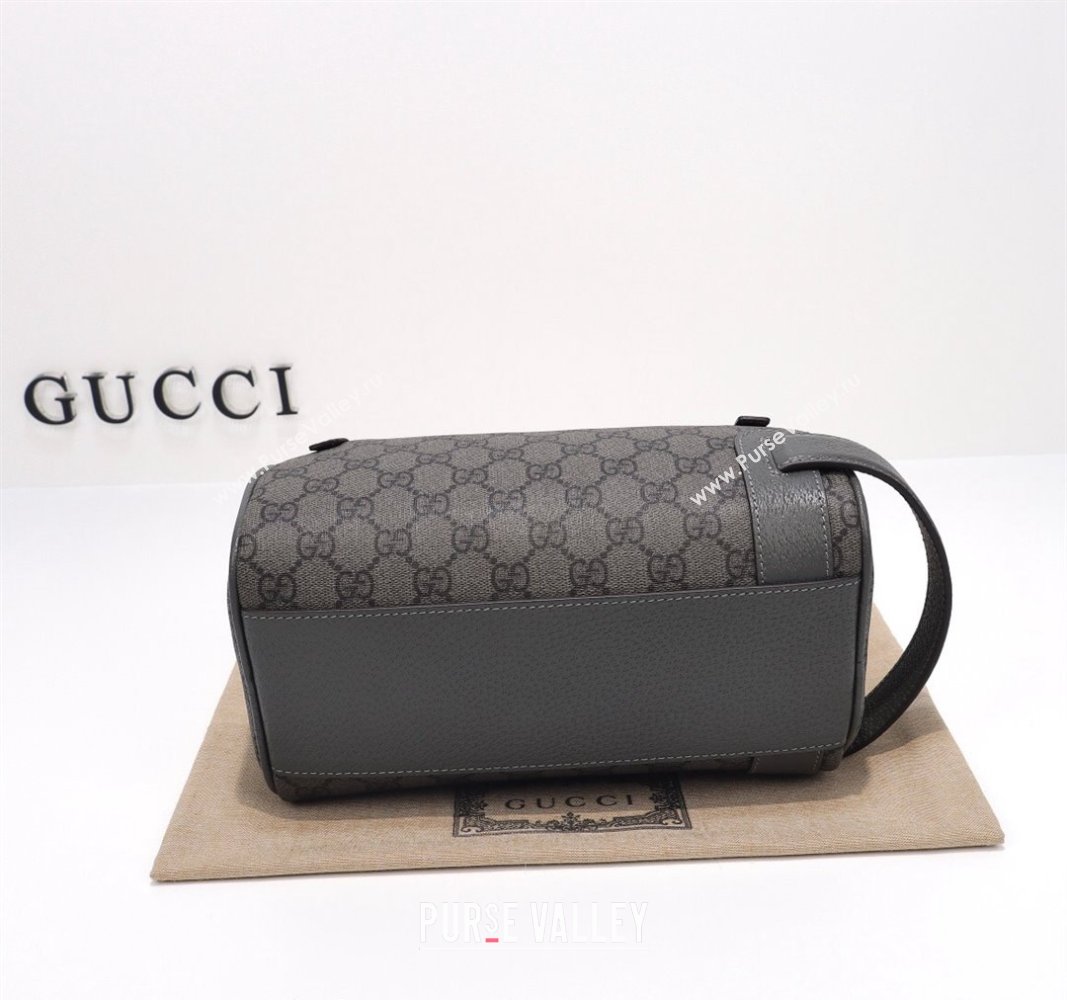 Gucci Ophidia GG canvas Toiletry Case 739670 Grey 2024 (DLH-240522023)