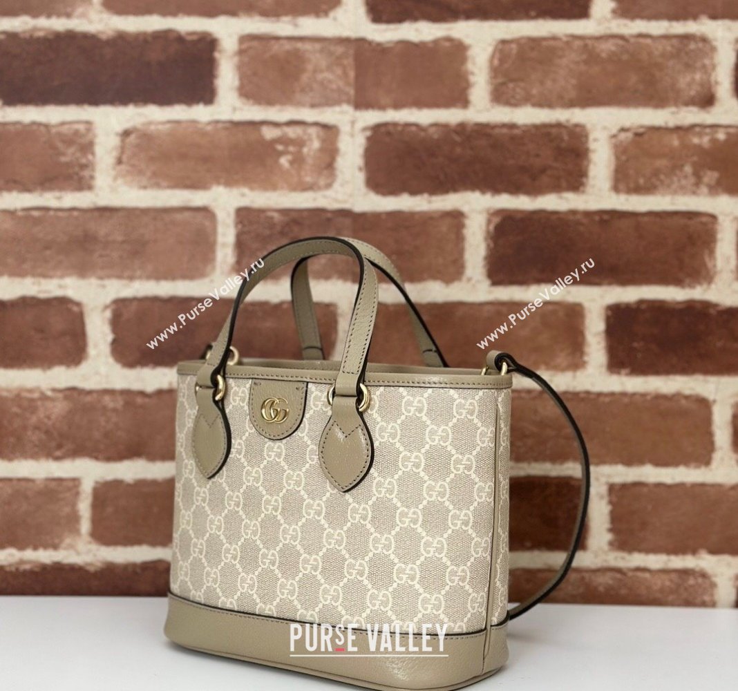 Gucci Ophidia GG Canvas Mini Tote Bag Beige/Oatmea 2024 811716 (DLH-240716033)