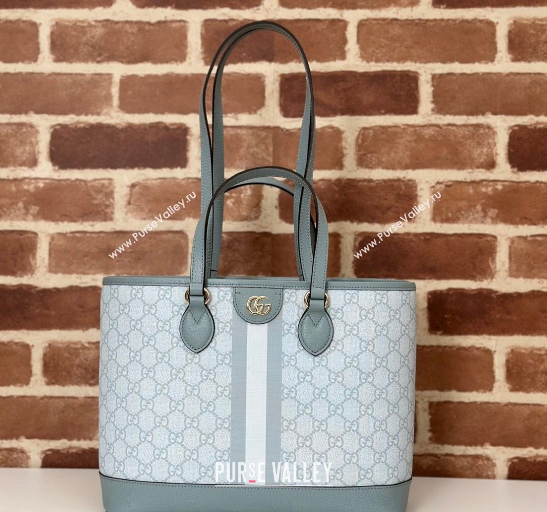 Gucci Ophidia GG Canvas Mini Tote Bag 765043 Dusty Blue 2024 (DLH-240716037)