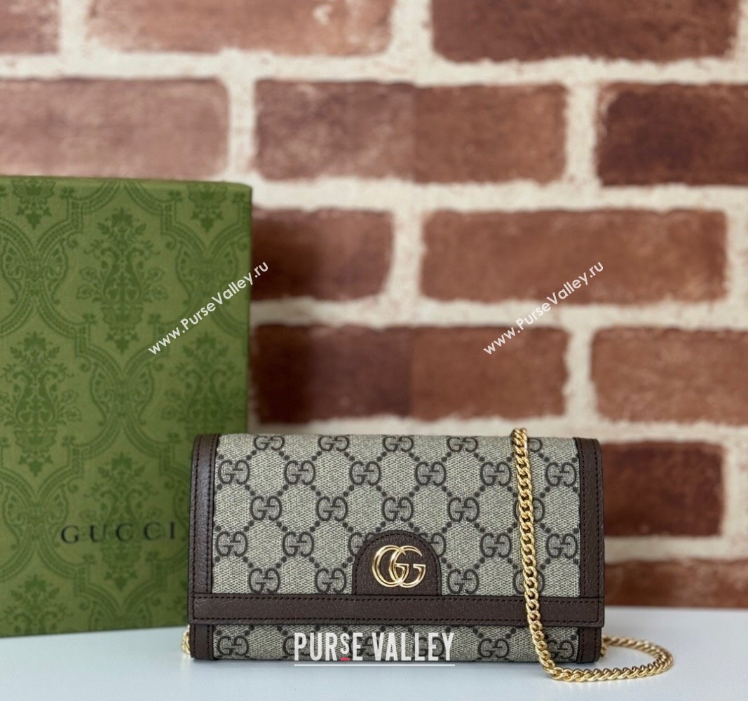 Gucci GG Canvas Mini Chain Bag 772309 (DLH-240924060)