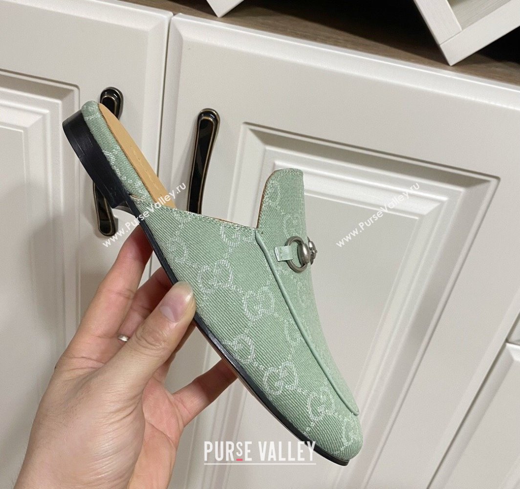 Gucci Princetown GG Denim Flat Slippers Light Green 2025 557730 (SS-250423159)