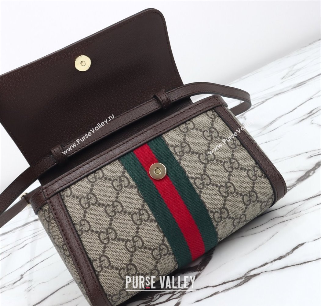 Gucci Ophidia GG Canvas mini shoulder bag 2025 838481 (DLH-250808061)