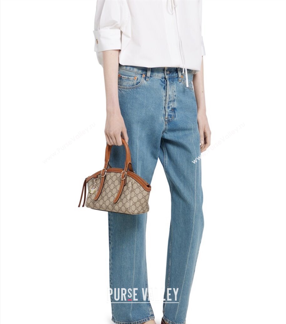 Gucci Ophidia GG Canvas Top Handle bag 2025 839005 (DLH-250808062)