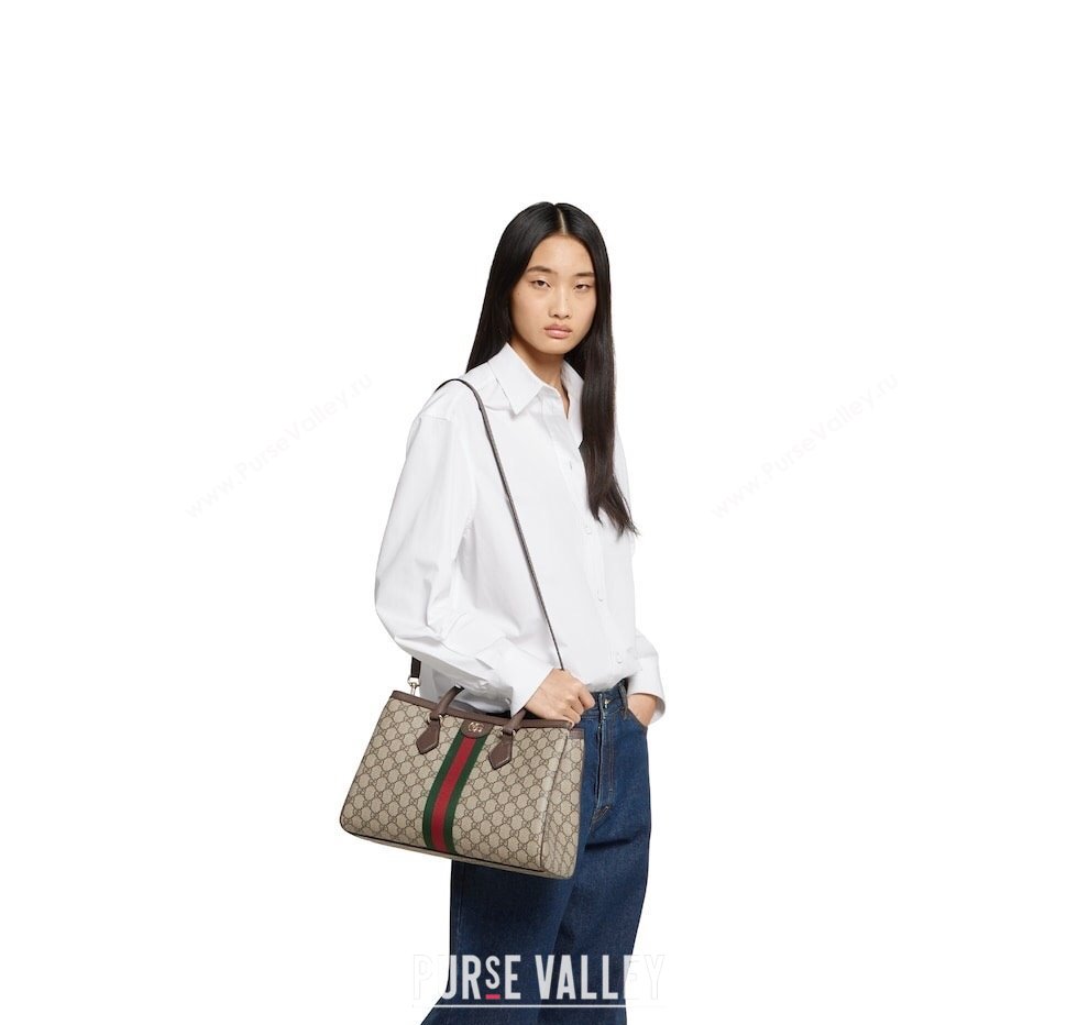 Gucci Ophidia GG Canvas medium tote bag 2025 836839 (DLH-250808077)