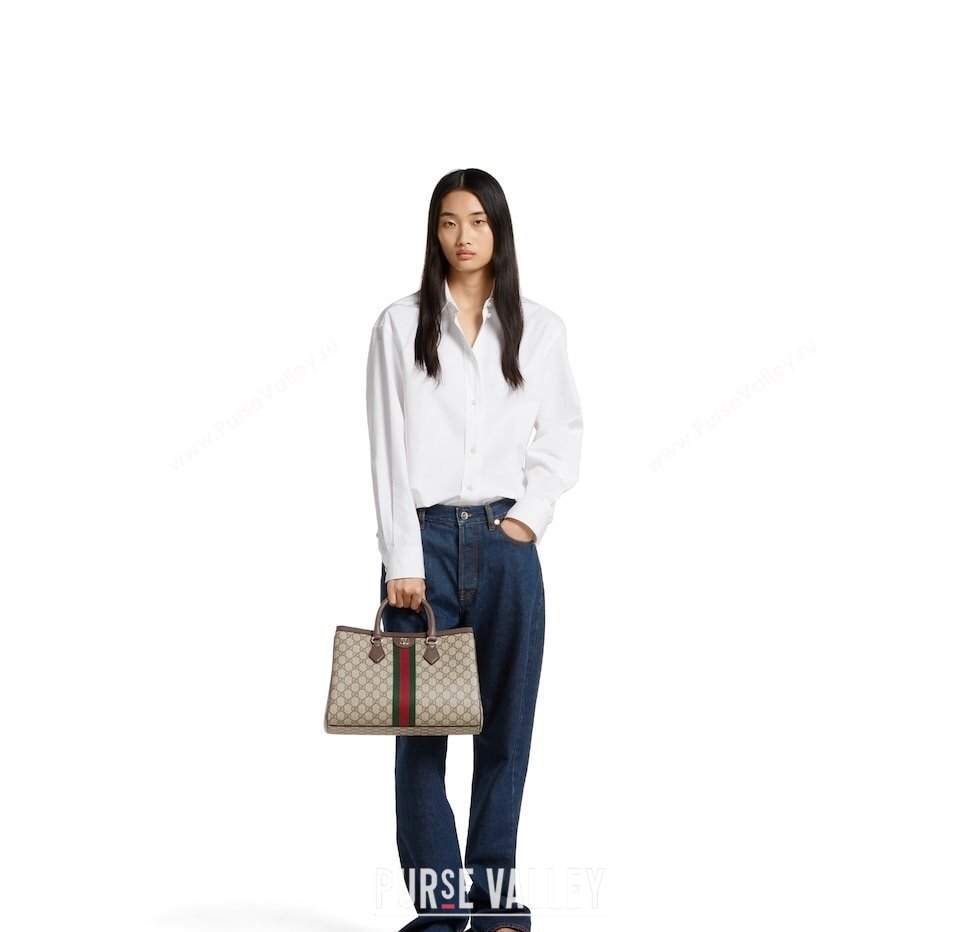 Gucci Ophidia GG Canvas medium tote bag 2025 836839 (DLH-250808077)
