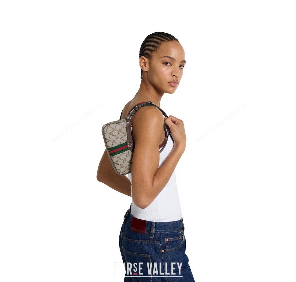 Gucci Ophidia GG Canvas mini shoulder bag Beige/Brown 2025 838465 (DLH-250930107)