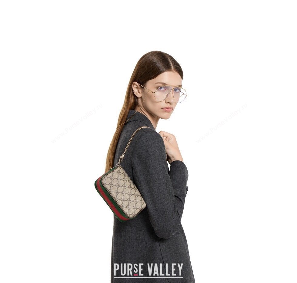Gucci Ophidia GG Canvas mini bag 2025 838475 (DLH-250930106)