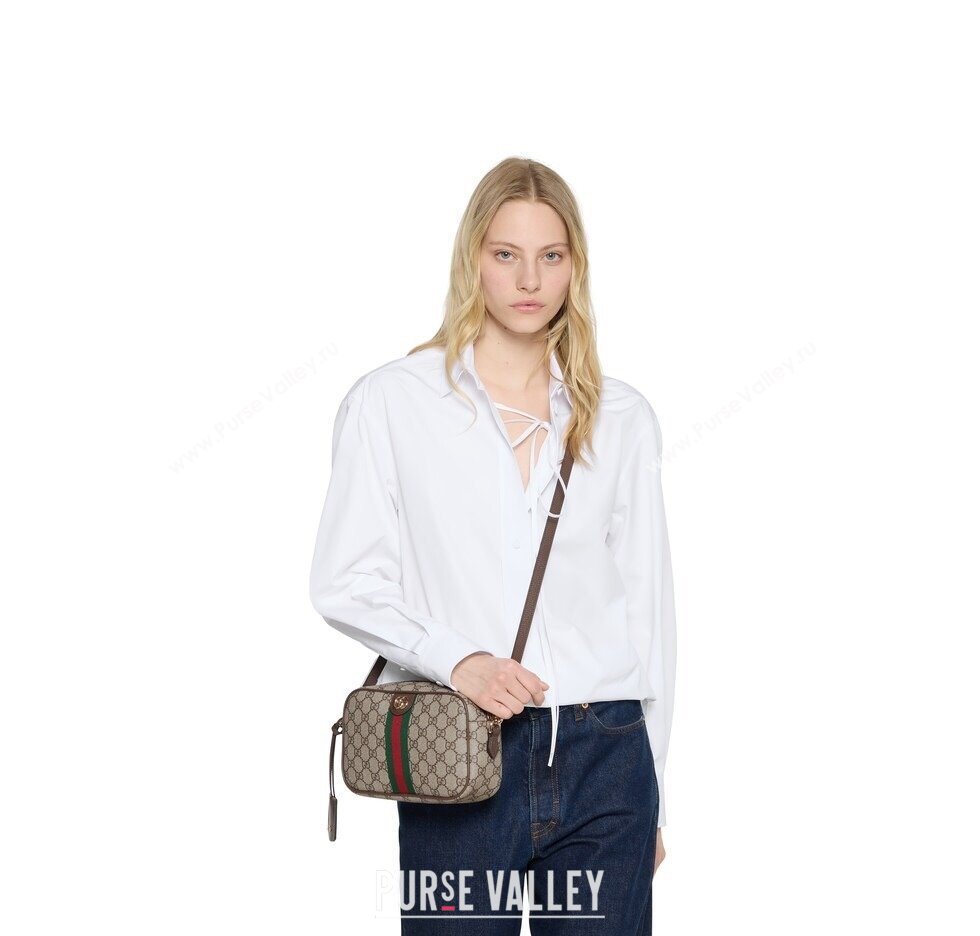 Gucci Ophidia small camera bag in gg canvas 2025 841310 (DLH-251124148)
