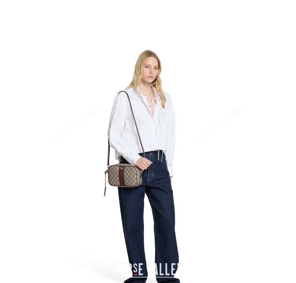 Gucci Ophidia small camera bag in gg canvas 2025 841310 (DLH-251124148)