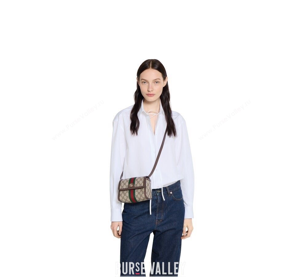 Gucci Ophidia mini shoulder bag 2026 838481 (DLH-260128146)