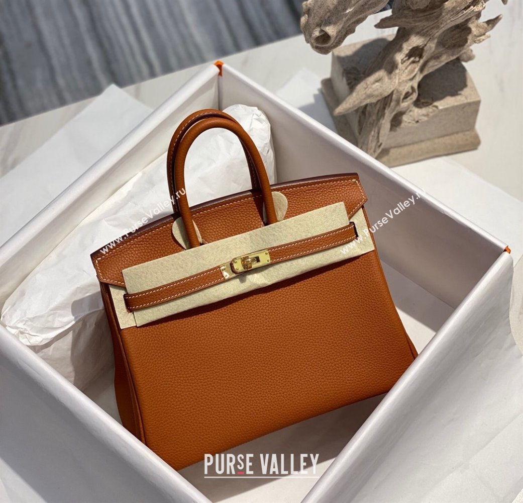 Hermes Birkin 25cm Bag in Togo Calfskin Brown/Gold 2022 (FL-22031549)