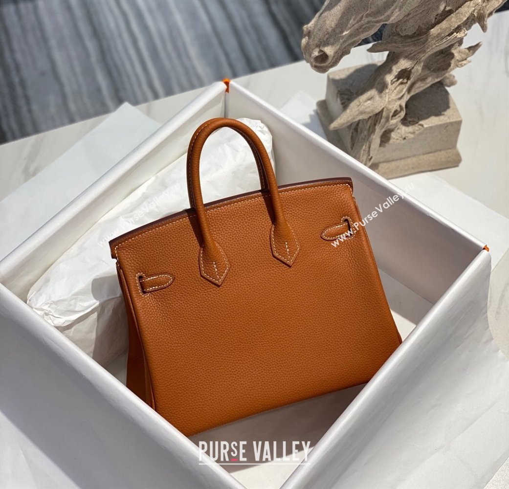 Hermes Birkin 25cm Bag in Togo Calfskin Brown/Gold 2022 (FL-22031549)