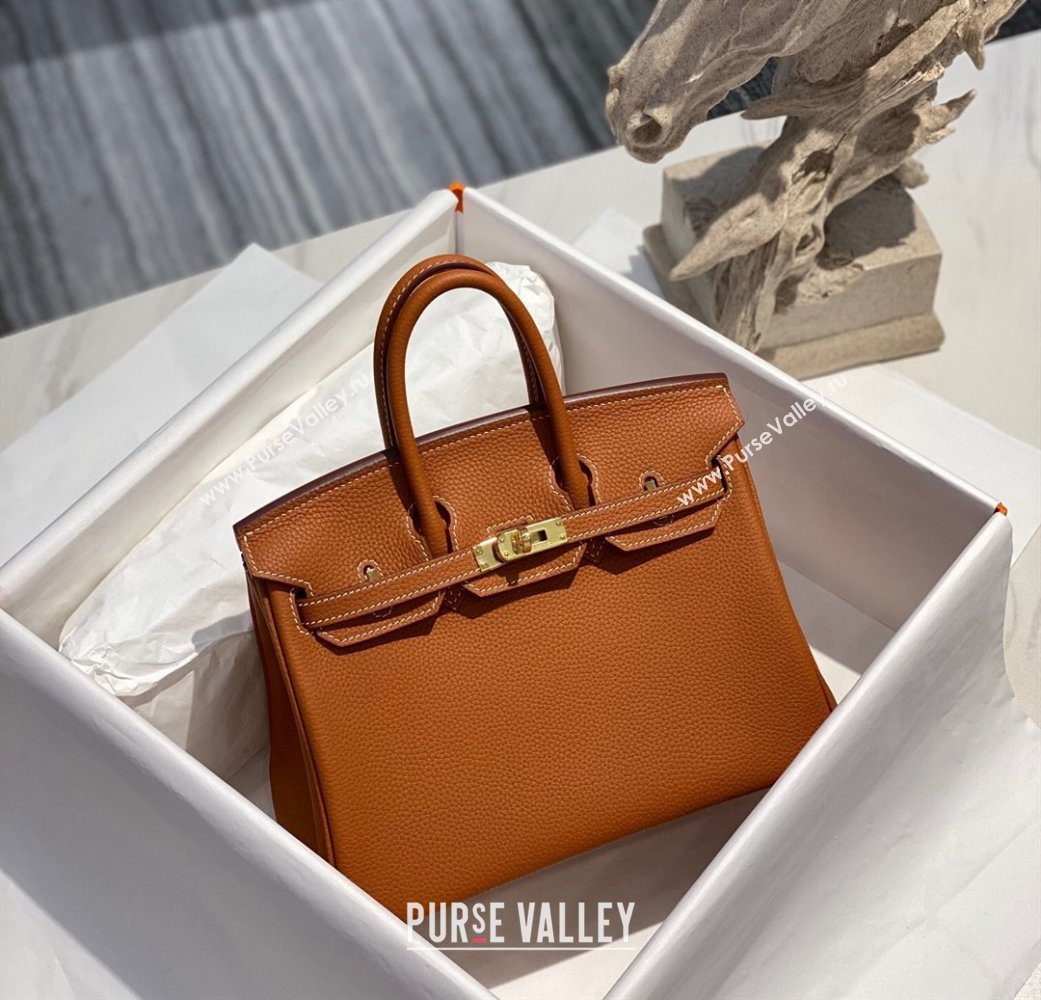 Hermes Birkin 25cm Bag in Togo Calfskin Brown/Gold 2022 (FL-22031549)