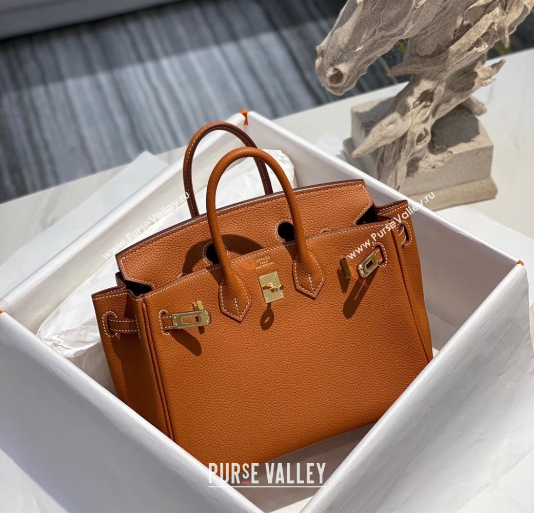 Hermes Birkin 25cm Bag in Togo Calfskin Brown/Gold 2022 (FL-22031549)