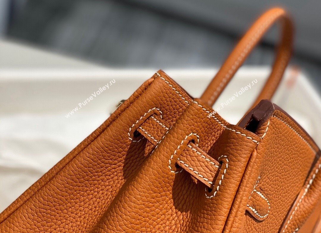 Hermes Birkin 25cm Bag in Togo Calfskin Brown/Gold 2022 (FL-22031549)