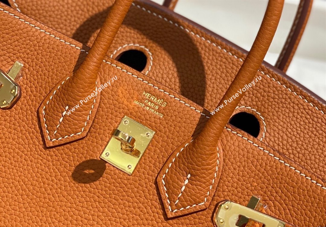 Hermes Birkin 25cm Bag in Togo Calfskin Brown/Gold 2022 (FL-22031549)