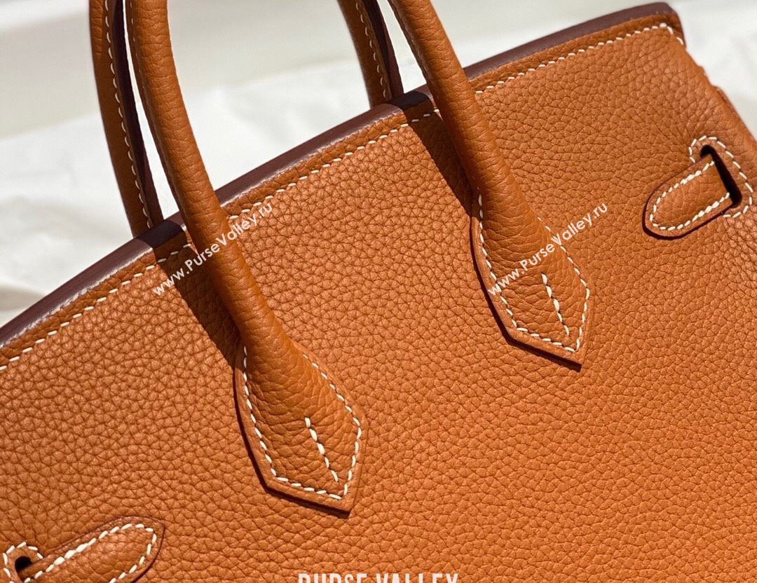 Hermes Birkin 25cm Bag in Togo Calfskin Brown/Gold 2022 (FL-22031549)