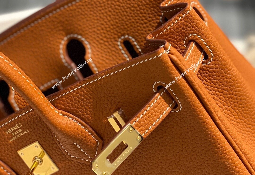 Hermes Birkin 25cm Bag in Togo Calfskin Brown/Gold 2022 (FL-22031549)